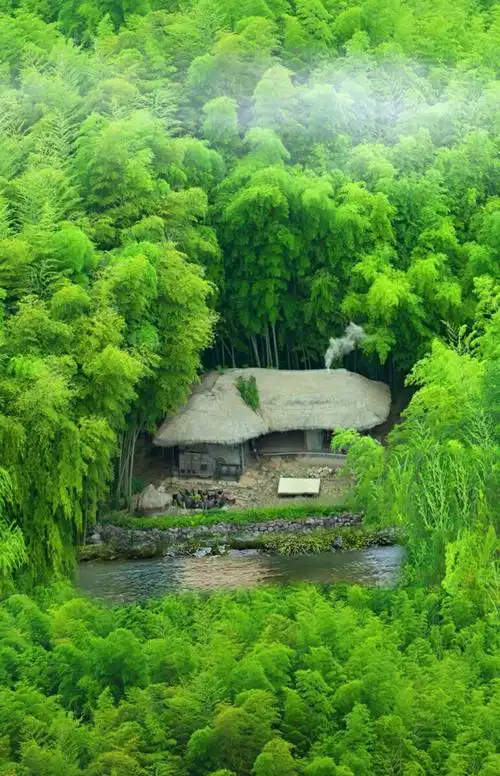 竹林寂寂飞鸟鸣溪水潺潺沁人心醉饮清风闲揽月轻煮岁月慢煮茶
