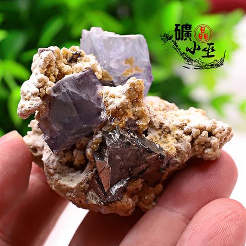 瑶岗仙 萤石 毒砂天然矿物晶体矿石教学 标本 原石宝石收藏家石头