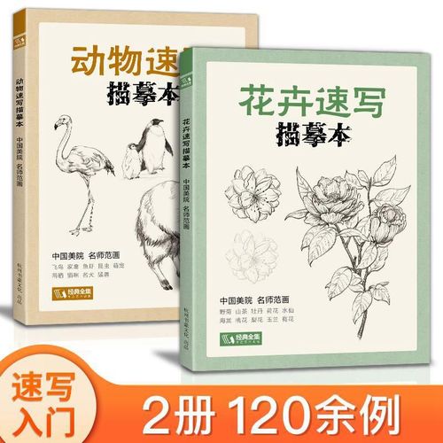 2本动物速写描摹本 花卉速写临摹手绘零基础画画入门新手自学教程