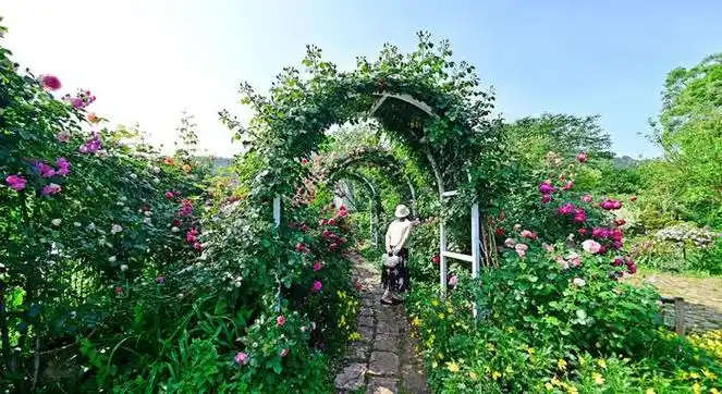 多多花园,花样多多,游客多多,多多美好.无锡锡山区锡北镇.