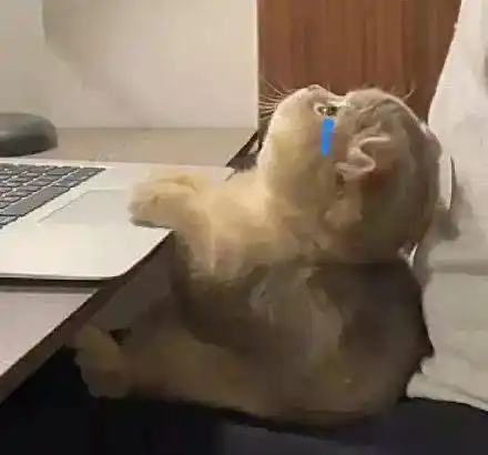 伤心流泪猫猫头表情包