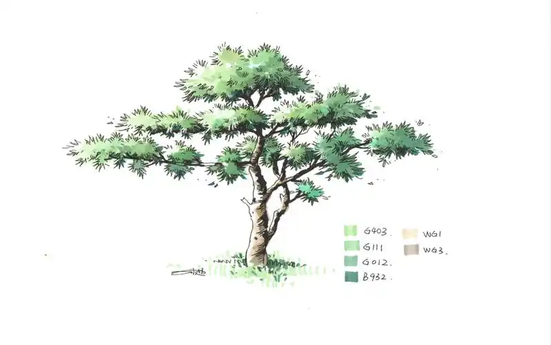 【松树,迎客松】线稿马克笔表达!你会了吗.赶紧收藏练习.