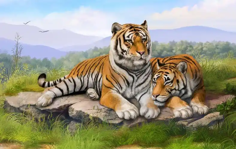 威猛老虎高清摄影壁纸_动物界的霸气担当