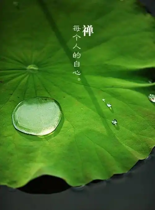 道缘环境是怎样形成的呢?