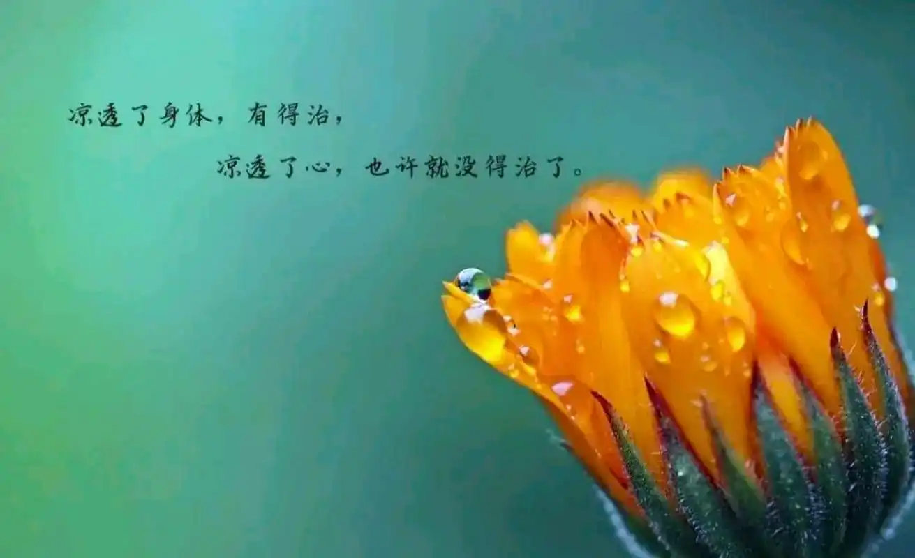 心累 好想哭,太多的委屈无从说起,心特别痛,头都要爆的感觉,真的真的