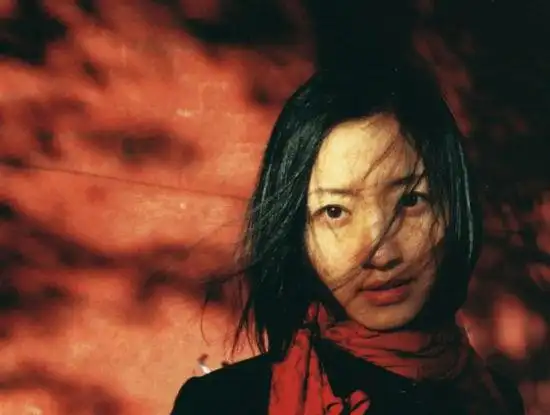 柴静:第一次坐到演播室 就觉得属于这个地方