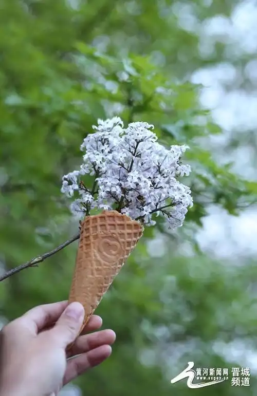 公园里生长的花朵做"搭档",通过错位摄影拍摄的创意图片