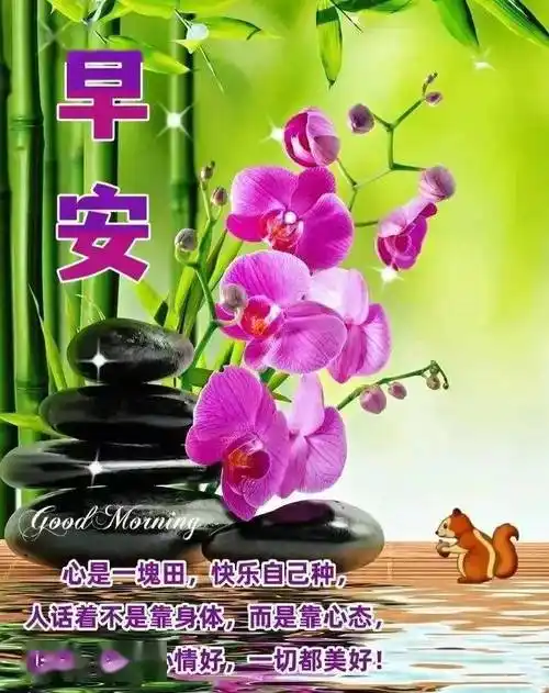 新版非常好看的早安图片大全,温馨早上好祝福美图_生活_朋友_伤口