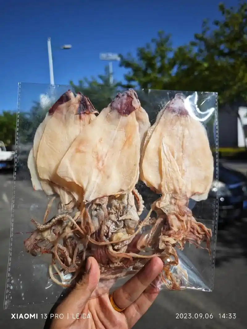 鱼干零食系列.韩奇 烤鱿鱼片 鱿鱼丝 鱼片 鱿鱼干 鳕鱼片 - 抖音