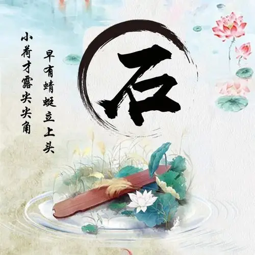 你的微信头像早该换啦50张百家姓莲花图出淤泥而不染请带走