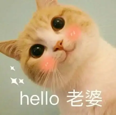撩妹,,hello表情包 - 撩妹,,hello微信表情包 - 撩妹,,helloqq表情包
