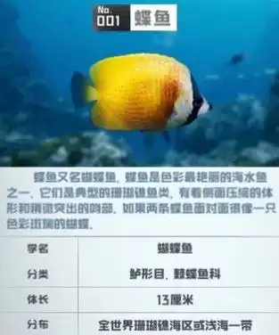 鱼吃鱼#海洋生物  大部分科普,因为有些没解锁 - 抖音