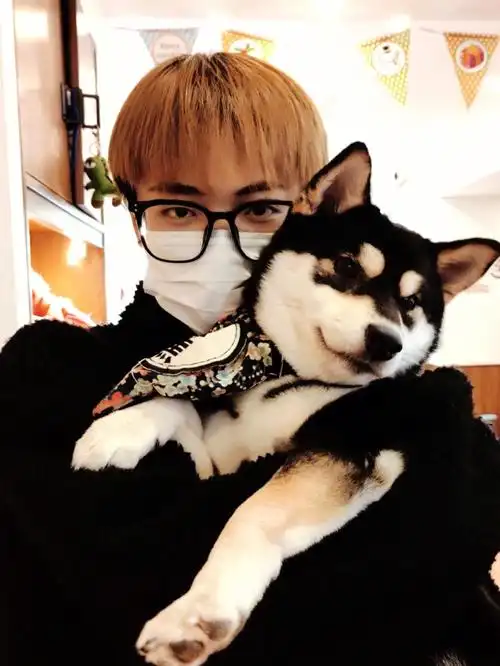 周末一起撸狗狗吧