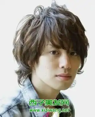 男生栗棕色头发图片2
