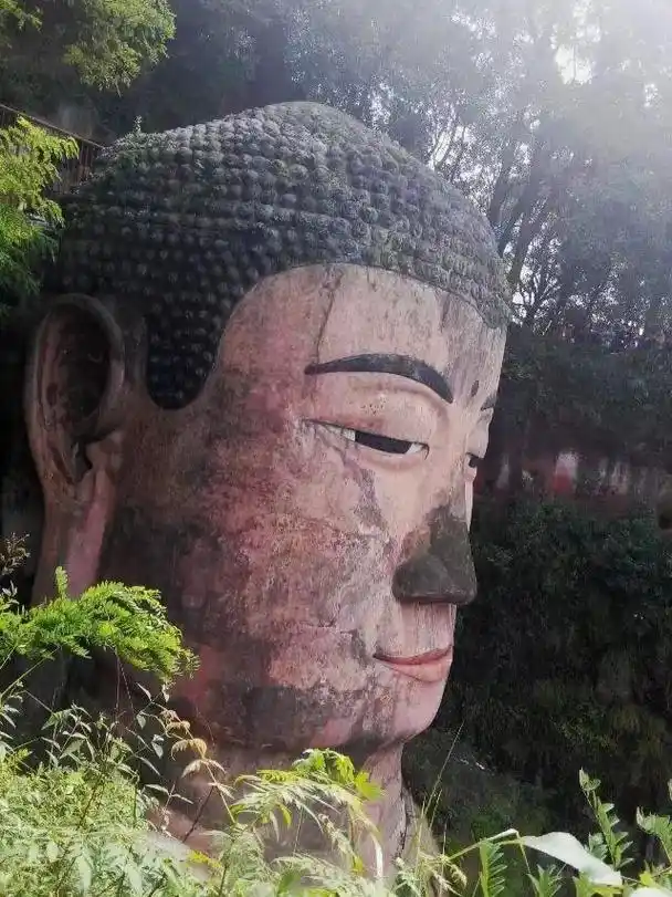 赏秋游四川乐山大佛,都江堰,九寨沟,黄龙.9.17四川全景已 - 抖音