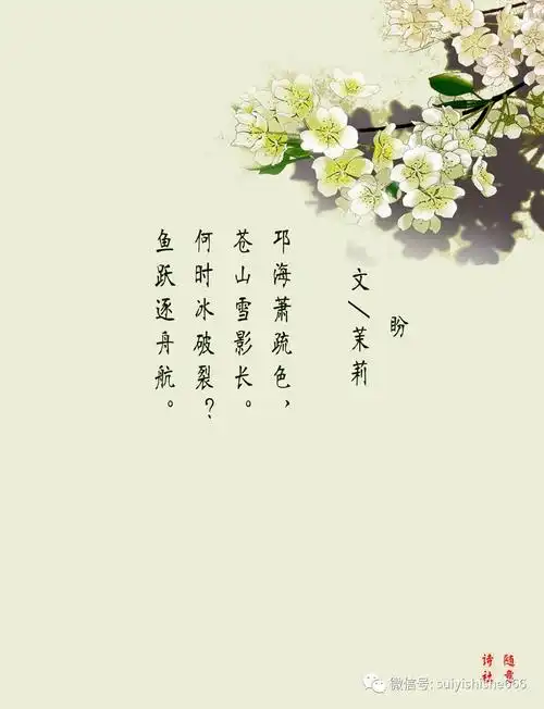 诗词中飘来阵阵茉莉花香