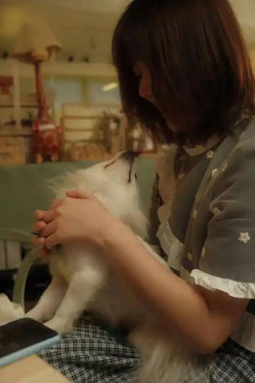 放弃大厂的95后追求着反传统的事业与人生