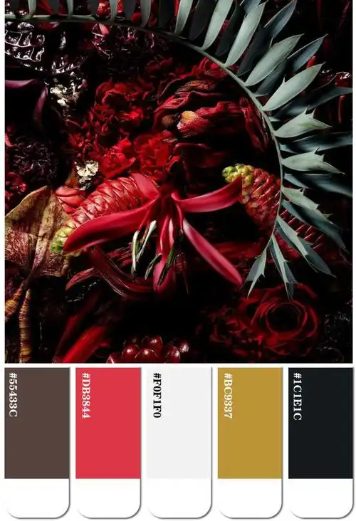 年度色彩2023年度最美的十个红色配色