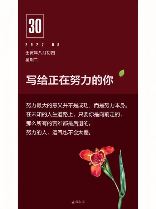 今日文案日历壁纸越优秀的人越努力