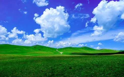 看遍夏季草原治愈心里的辽阔之美,风景-回车桌面