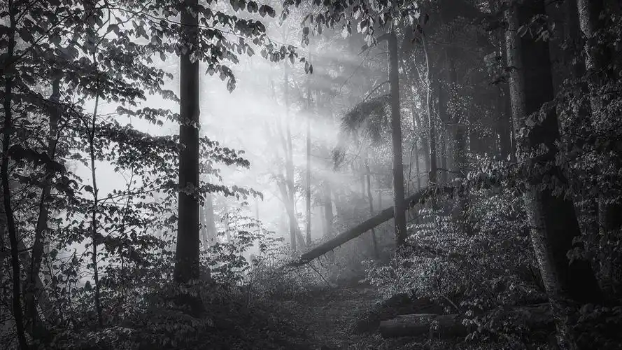 冷色调唯美意境风景桌面壁纸