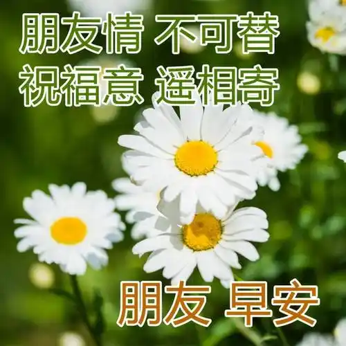 原创最好看的早安问候图片日常暖心早上好祝福