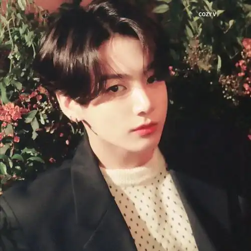 防弹少年团/田柾国头像