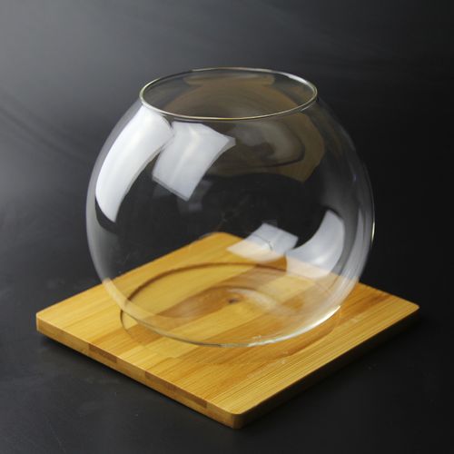 微景观生态瓶 玻璃瓶 制作容器 苔藓diy 小鱼缸圆底瓶 13.5cm