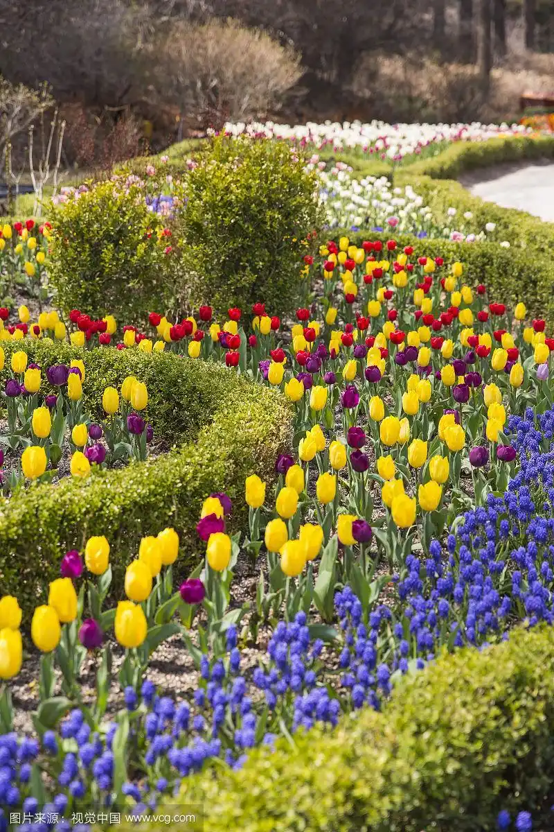 春天大自然美丽,花草树木清新