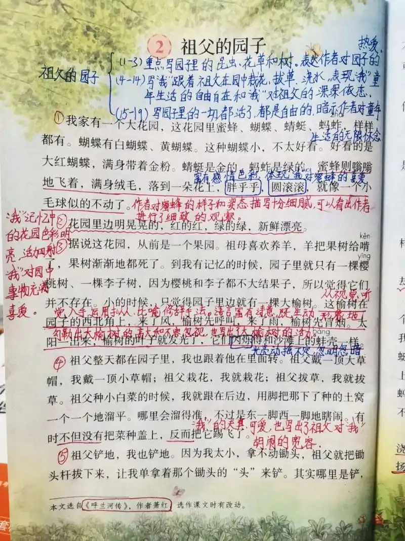 五下第二课《祖父的园子》预习笔记及练习