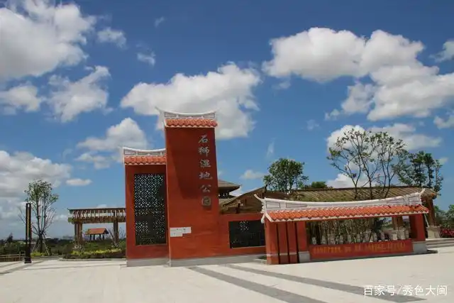 石狮湿地公园候鸟翩跹,莲池鹭影,一幅诗画江南,梦里水乡的模样