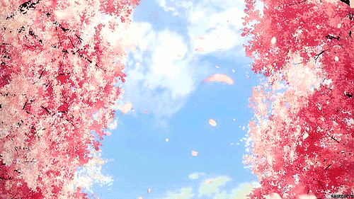 落英缤纷, 一边是风景宜人的美景, 真的宛如游走在一幅梦幻的画中