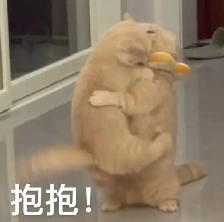 抱抱!(猫咪表情包)_抱抱_猫咪表情