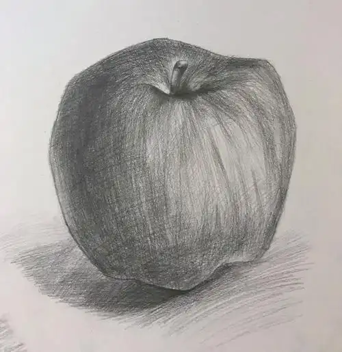 零基础绘画学习第28天:素描静物苹果