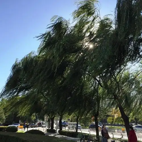 「大风预警」11月3日大连市气象局发布大风蓝色预警「iv级/一般」