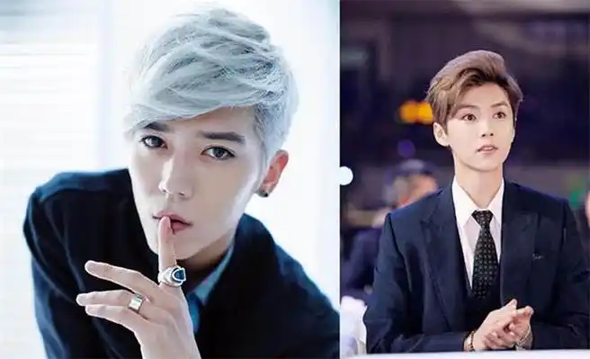 毕书尽为什么不红 与鹿晗同脸不同命的他今因陈语安引热议