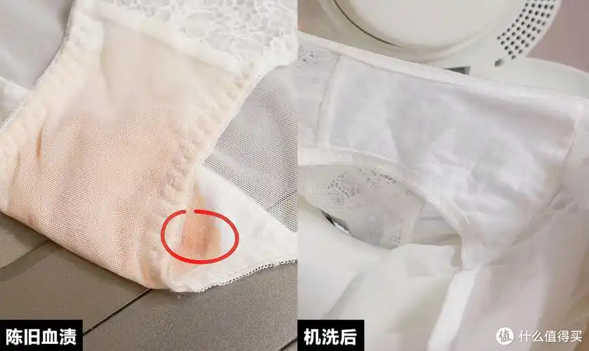 这辈子彻底告别手搓内衣裤换过3台内裤洗衣机后聊聊升级体验和选购