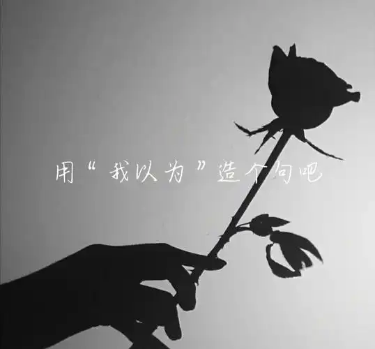 用我以为造句