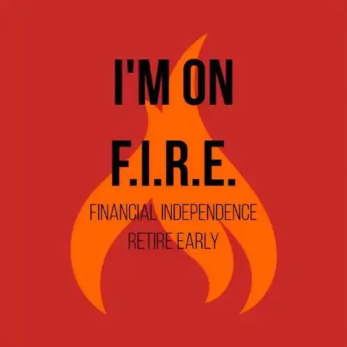 提前退休"概念,并引发了全球的"the fire(financial independence