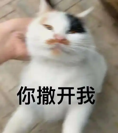 小老二的表情包jpg