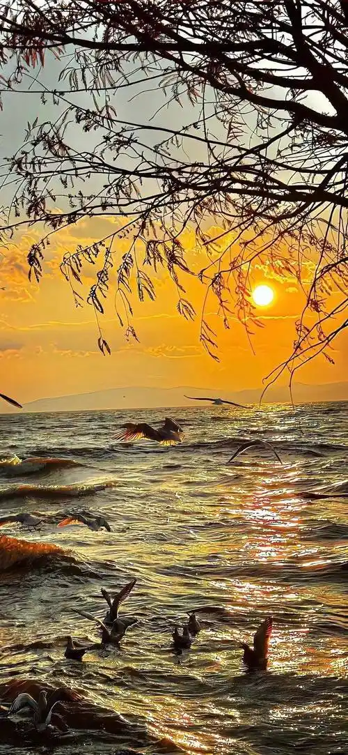 壁纸全面屏4k壁纸