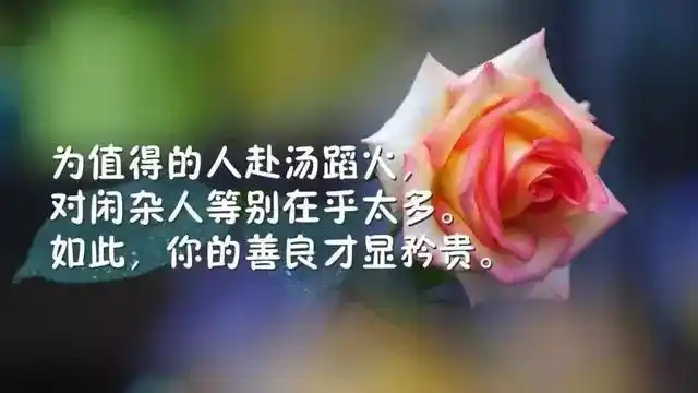 适合发朋友圈人生感悟经典哲理句子,字字精辟入心