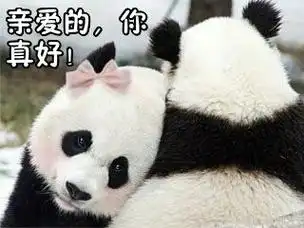 熊猫gif动物gif搞笑gif亲爱的你真好gif