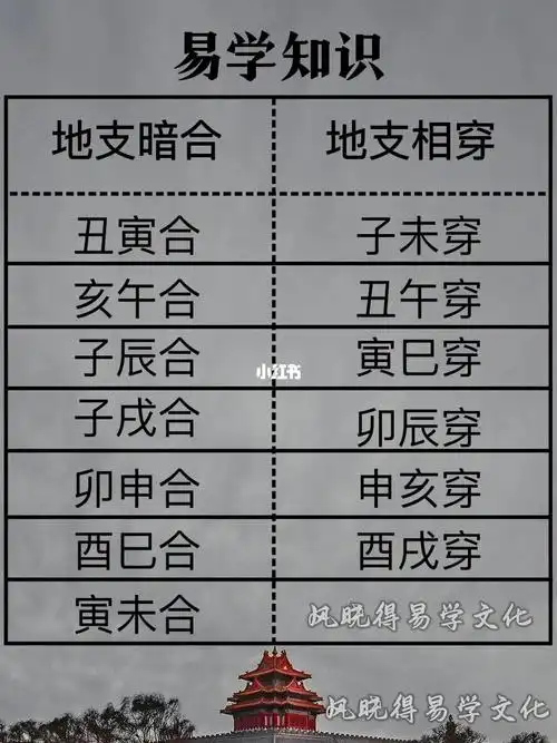地支七暗合1,丑寅2,亥午 ——这两对是含藏干支都六合3,子辰4,子戌5