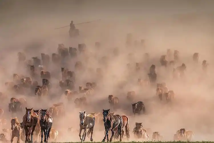 千军万马在坝上
