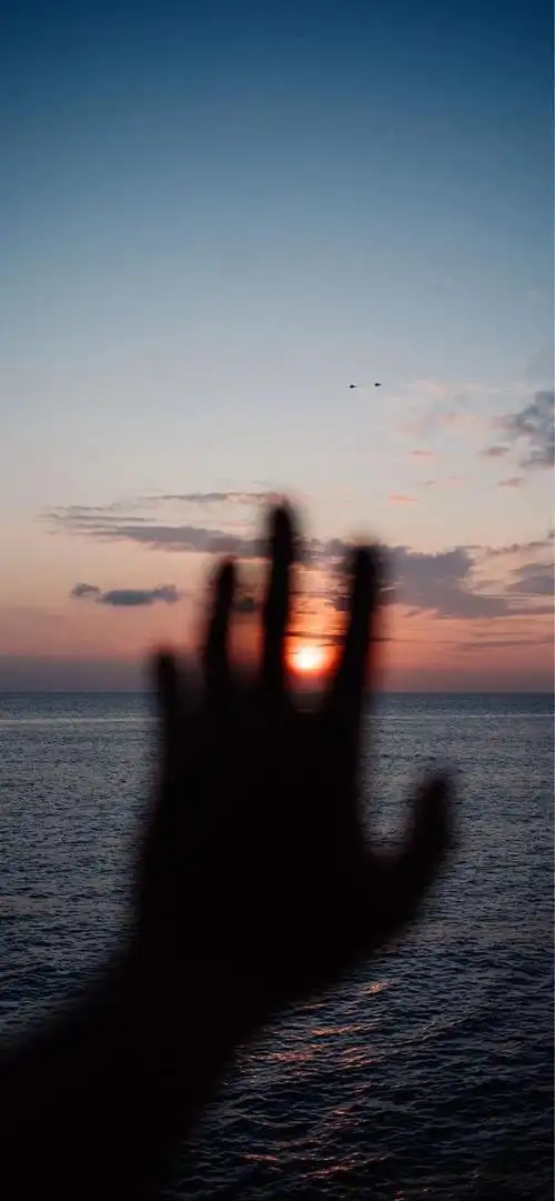 「外网壁纸」今天壁纸全都是手,网易云来袭