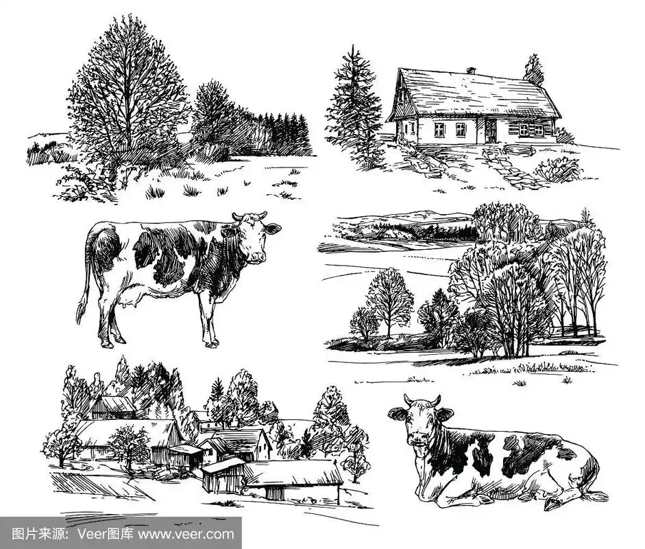 农场,奶牛,乡村房屋.手绘.
