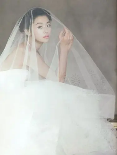 全智贤唯美婚纱照.