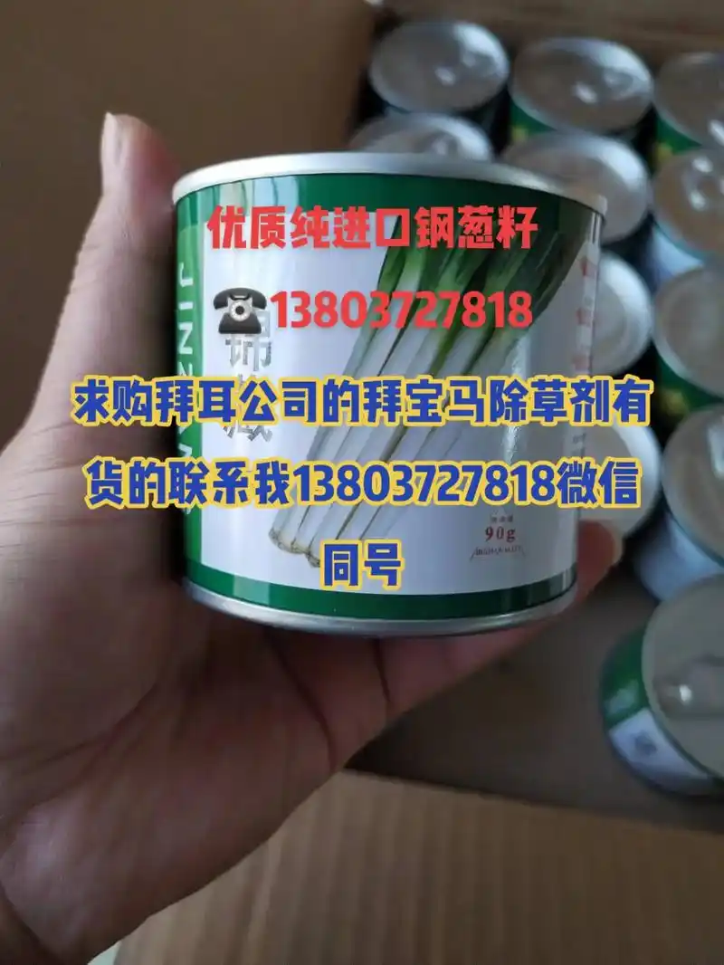 优质纯进口钢葱籽 781513803727818#欢迎新老客户的 - 抖音