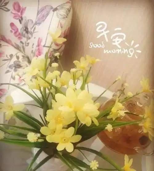 温馨早安问候语图片祝福经典早安鲜花祝福图片